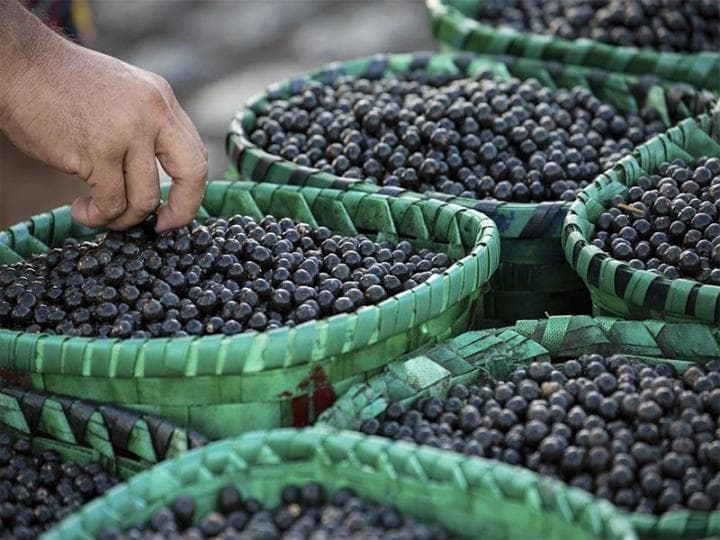 acai
